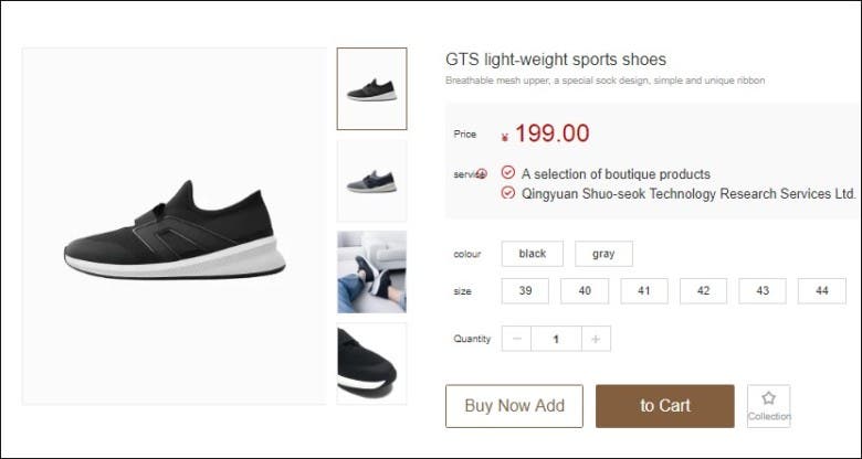GTS Light-Weight Shoes