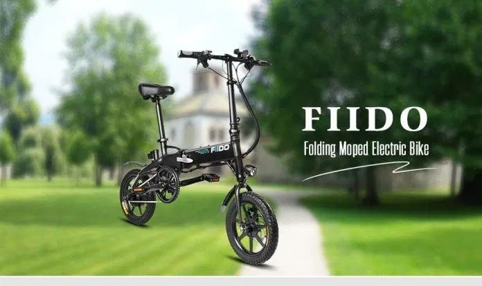 FIIDO D1 Folding Electric Bike
